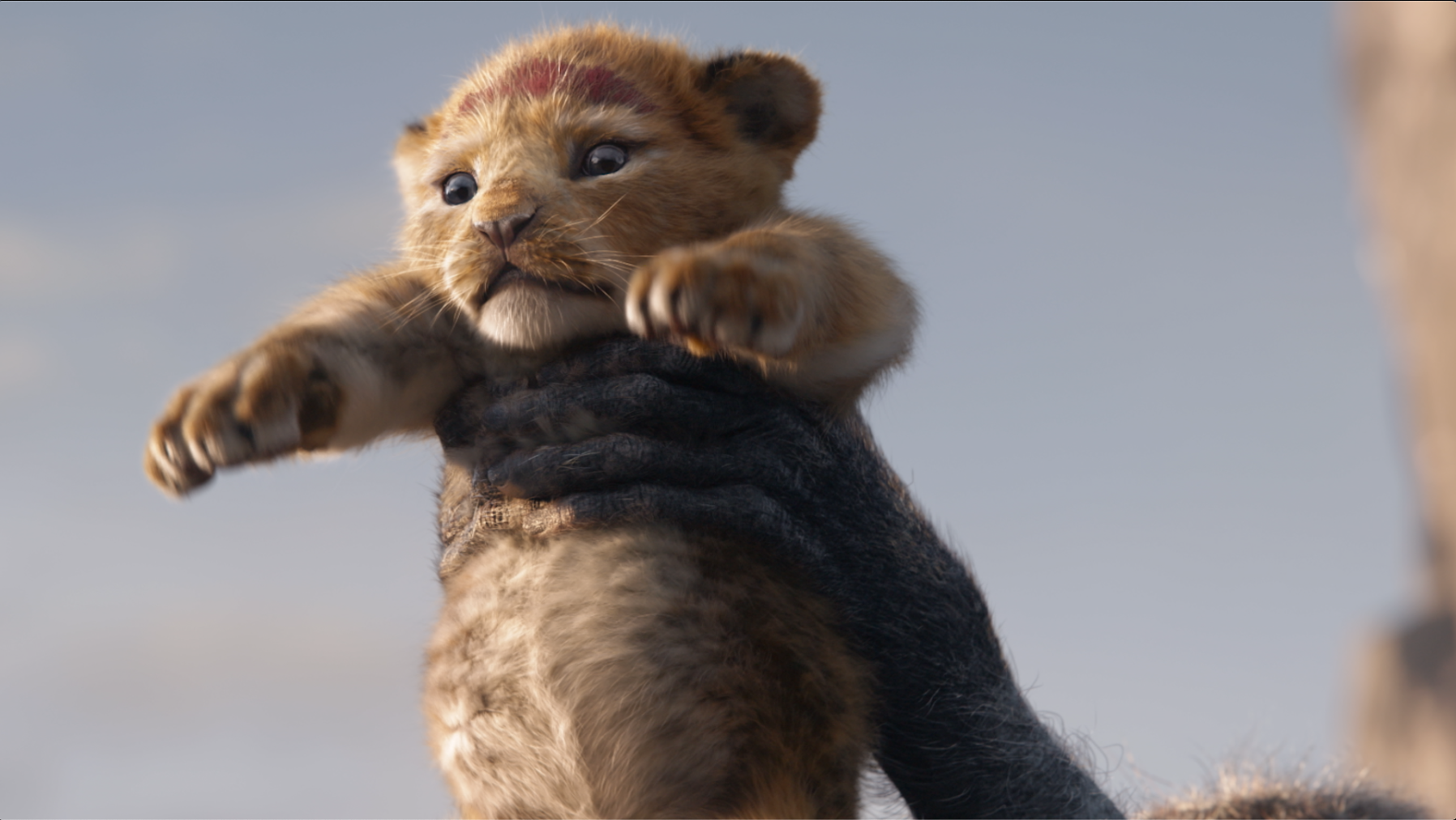 The Lion King 2019 Bonus Trailer